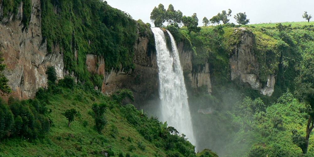 3  Days Gorilla Trekking 